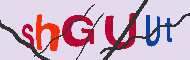Captcha-koodi