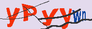 Captcha-koodi