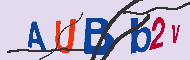 Captcha-koodi