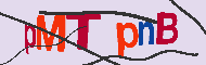 Captcha-koodi