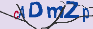 Captcha-koodi