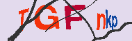 Captcha-koodi